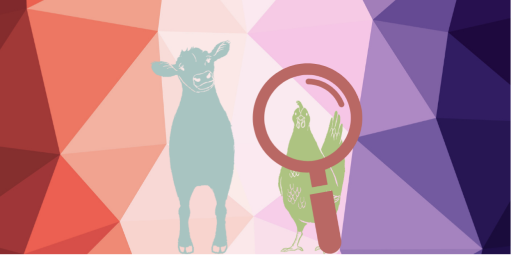 An image of a cow and a chicken set against a pastel background. The chicken is looking through a magnifying glass.